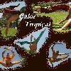 Cia de danza Calor Tropical 