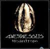 Avernessus