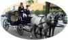 Coche de Caballos