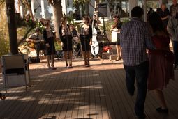 Petiswing