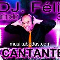 DJ ANIMADOR ORQUESTA
