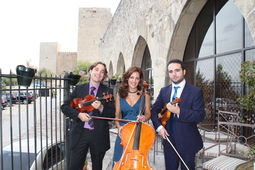Grupo Arsnova Música