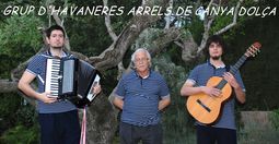 Havaneres ARRELS DE CANYA DOLÇA
