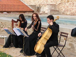 Alianzmusic. Música  bodas
