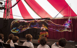 ESPECTACULOS Y EVENTOS CON POM