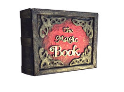 The Magic Book