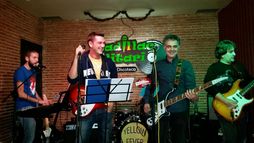 Yellow Fever Cover Band
