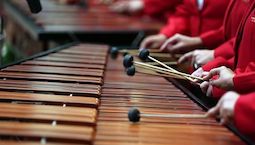marimba ***.***.***