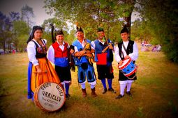 Gaiteros