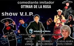Shows para fiestas