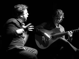 Flamenco 