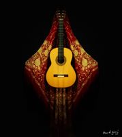 Arropia grupo flamenco