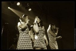 The Pepper Pots