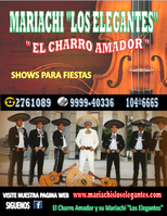 Mariachis en Lima T:2761089