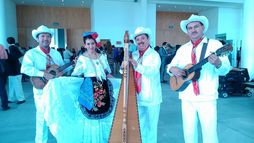 Grupo Jarocho los mejores para tu fiesta