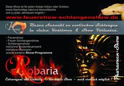 Feuer-Schlangenshow Sachsen