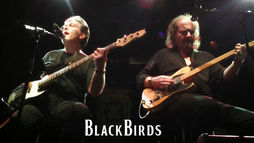 Blackbirds