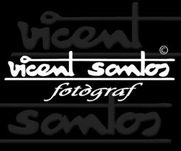 Vicent Santos