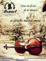 Ensamble Musical Mozart
