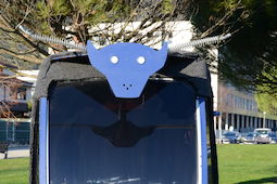 Espectáculo ,Toro de agua , Torico de agua 
