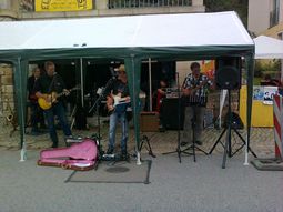 Greyhound Five