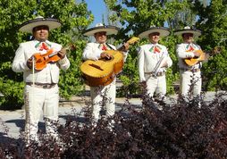 Mariachis Mexicanos en España