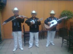 TRIO HUASTECO PARA FIESTAS Y E