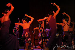 Ballet Español Zambra