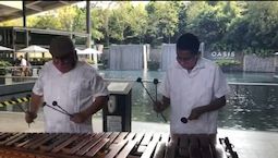 Marimba Económica 2 horas x $2,200 CDMX.