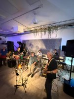 The Browners REGGAE DUB BAND