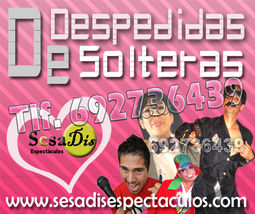 Animadores Despedidas Soltera