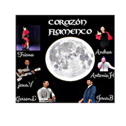 grupo flamenco corazon flamenc