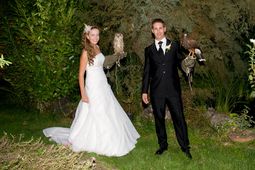 Aves Rapaces en Bodas