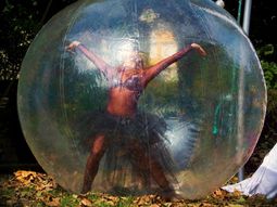 Performace y Acrobacia.