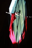 Circo delicia