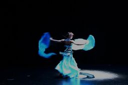 Anegda Show