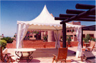 Fiesta Carpa