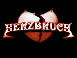 Herzbruch
