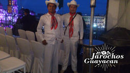 Grupo Musical Son Jarochos DF