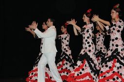 Cuadro Flamenco Zambra