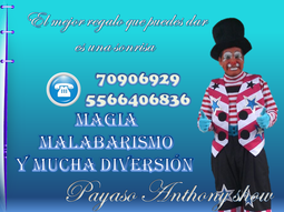 Show de payaso en la ciudad de