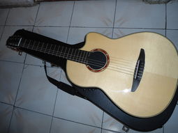 Guitarrista con cantantes