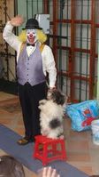 payaso garabato y sus perritos