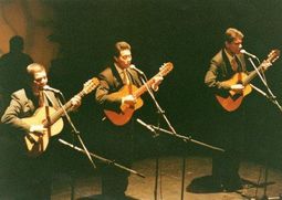 Musicos para serenatas Bogotá