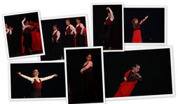 Baile Flamenco