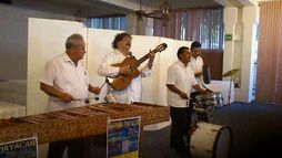 Marimba Guayacan