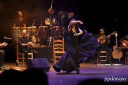Flamenco Pura Sangre