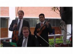 Violinistas profesionales conc