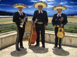 Mariachi Solis