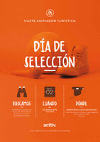 PROCESO DE SELECCION ANIMADORE